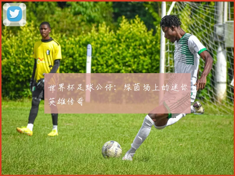 世界杯足球公仔：绿茵场上的迷你英雄传奇
